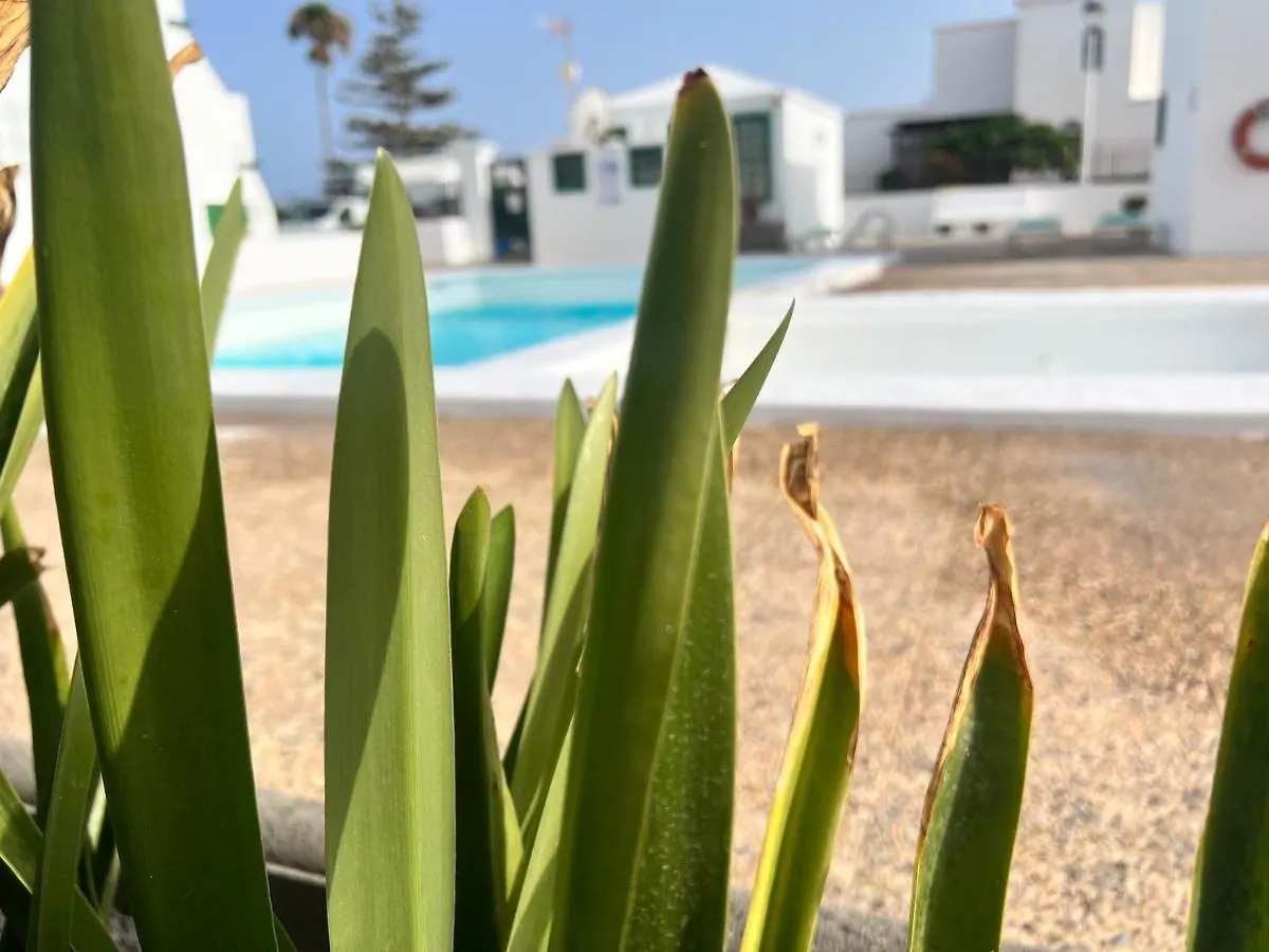 Apartment Las Mimosas Beach Sol Puerto del Carmen  Spain